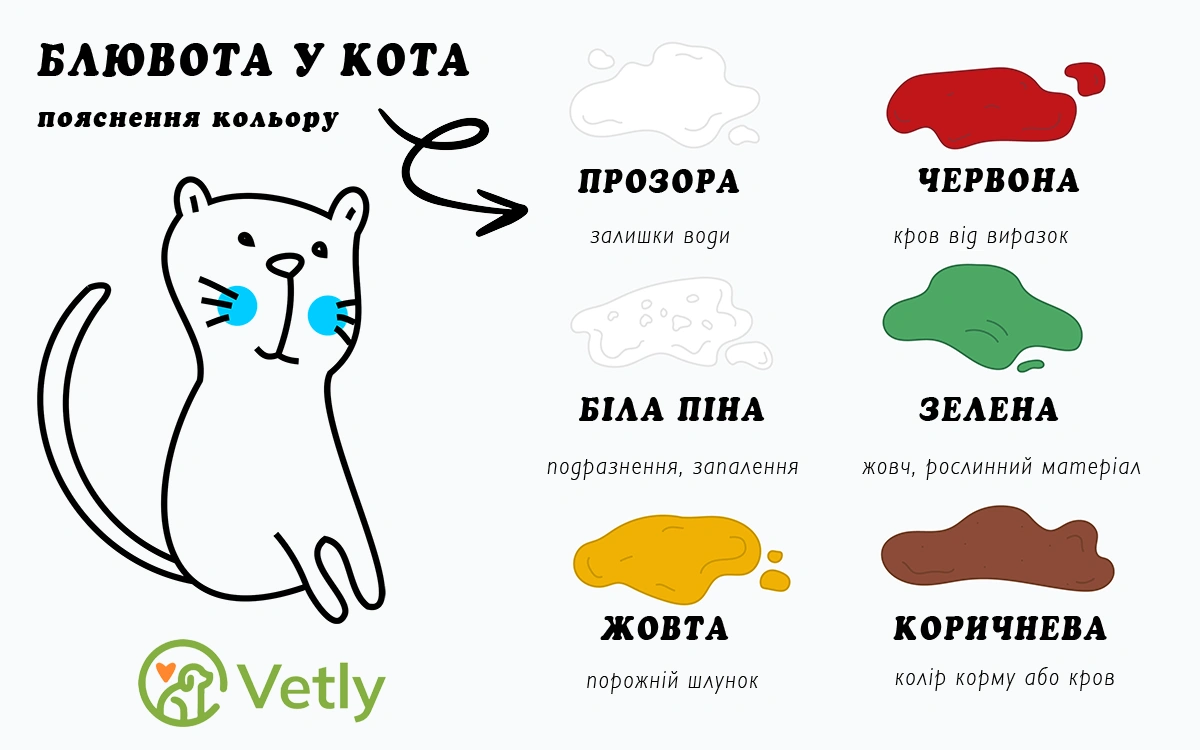 Ілюстративне зображення яке пояснює значення кольору блювоти у кота