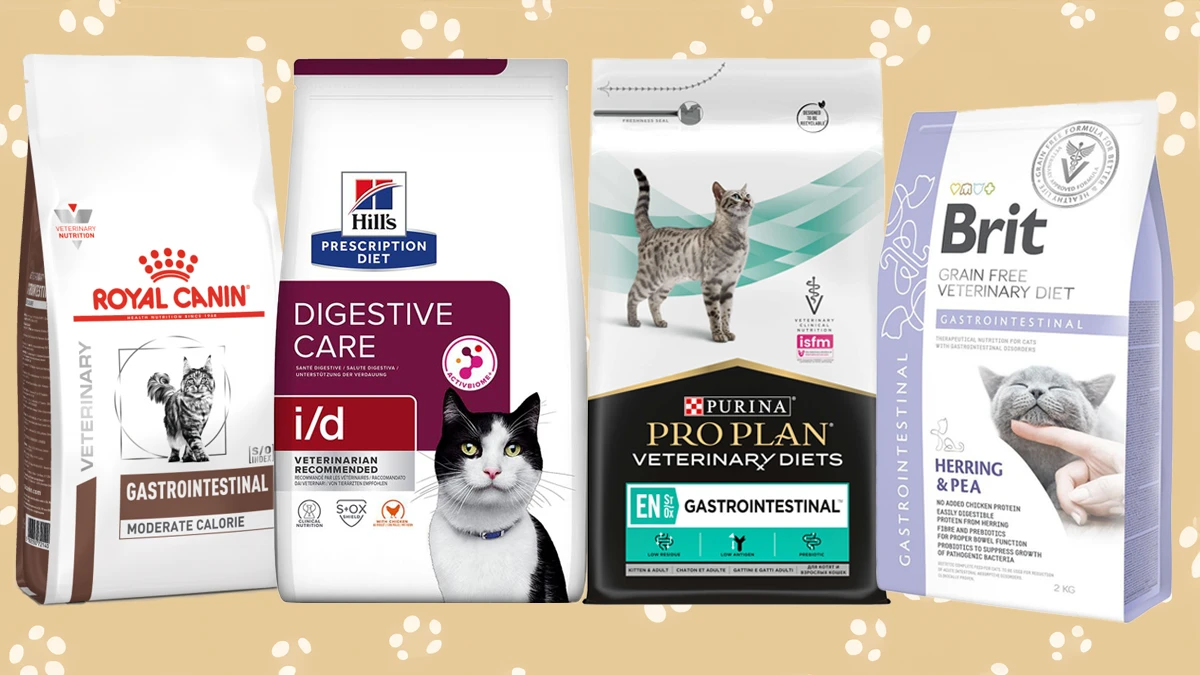 Корм для котів з ознаками панкреатиту - Hill's PD Feline I/D ActiveBiome+, Royal Canin Gastrointestinal Moderate Calorie Feline, Brit VD Gastrointestinal Cat, Purina Pro Plan Veterinary Diets EN Gastrointestinal