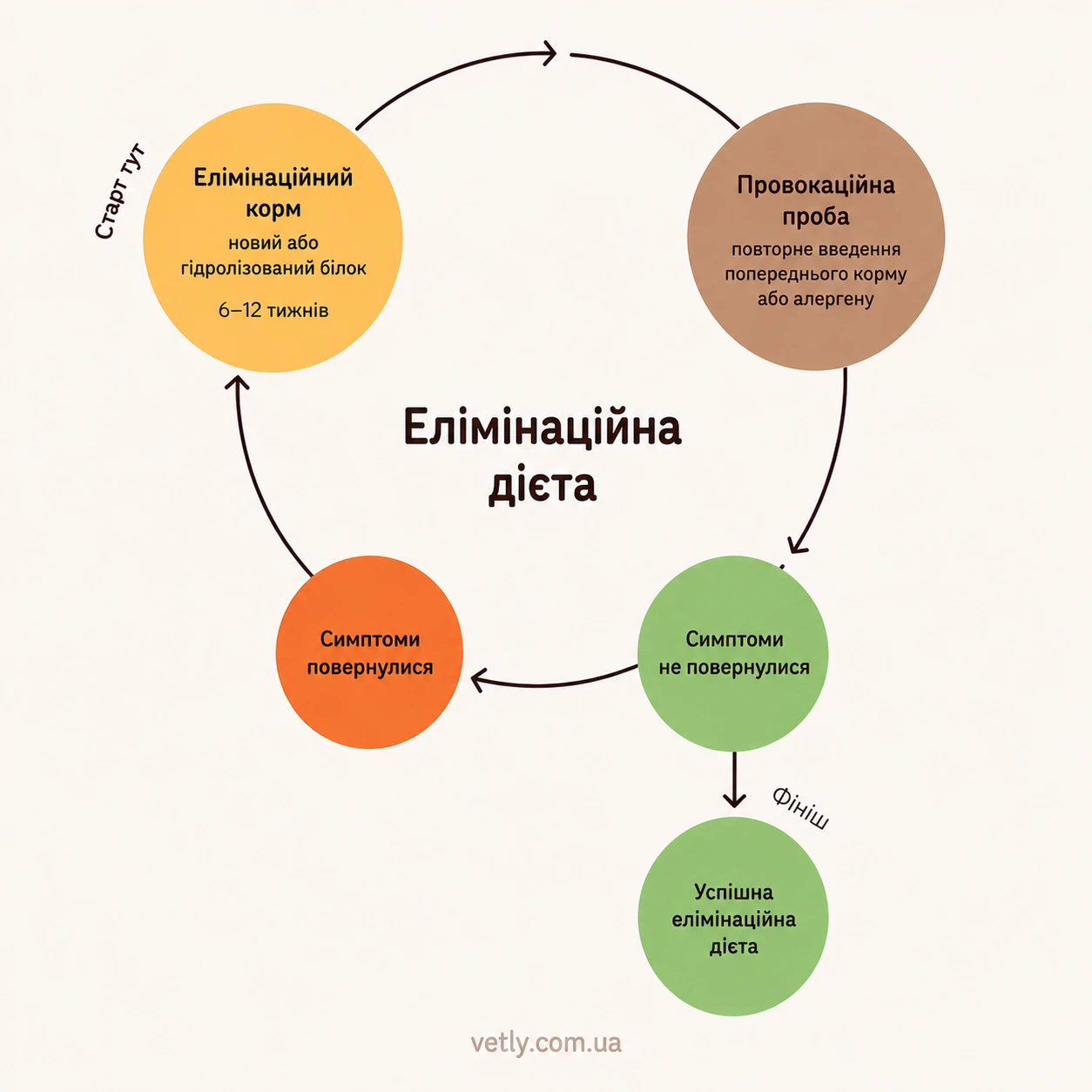Схема функціонування елімінаційної дієти для собак