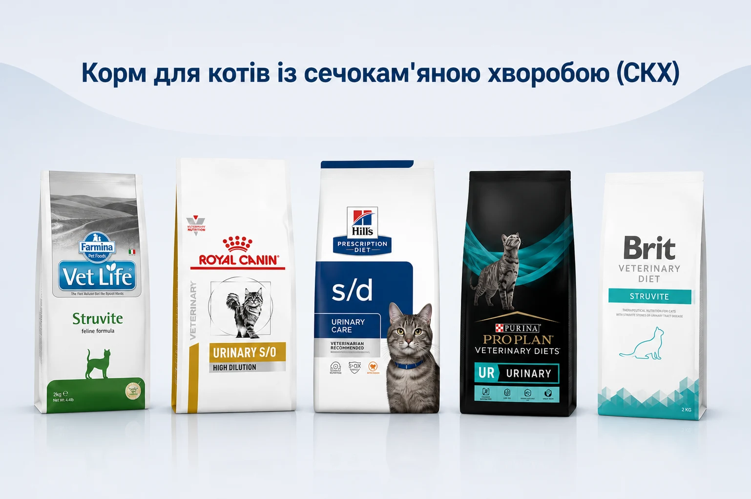 Лікувальні корми при сечокам'яній хворобі, які продаються в Україні